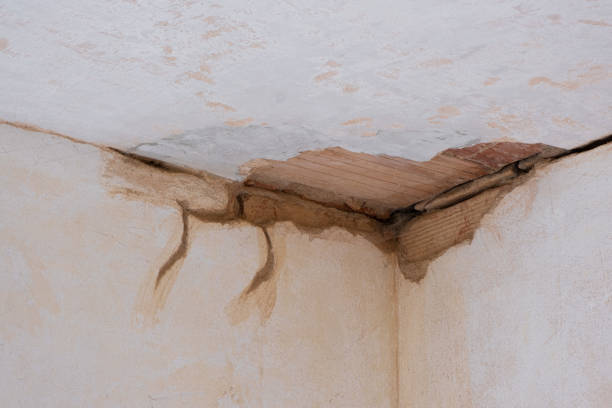 Best Water damage restoration mold remediation  in Mbrian Park, CA