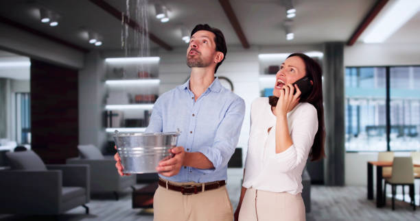 Professional Water damage restoration in Cambrian Park, CA